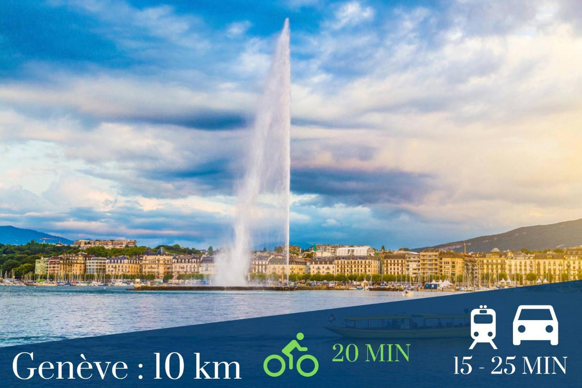 Homey Superchill - Appartement Moderne Et Tout Equipe - Netflix Et Wifi Inclus - Situe En Hyper-Centre - Proche Geneve Аннмасс Екстер'єр фото